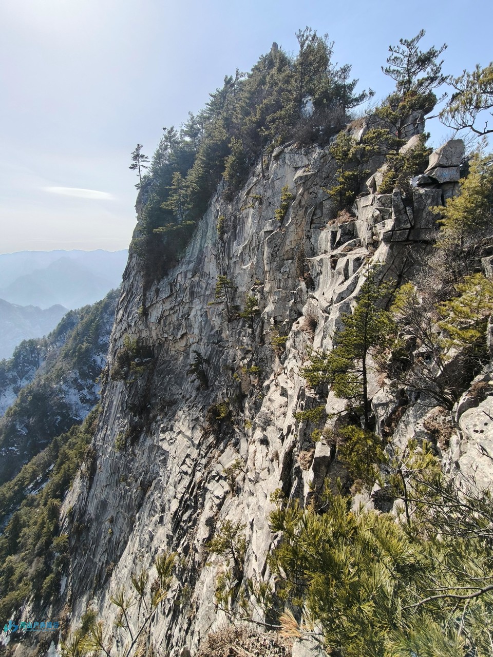 mmexport1739709155865