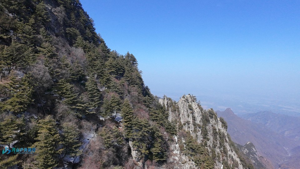 mmexport1739709291107