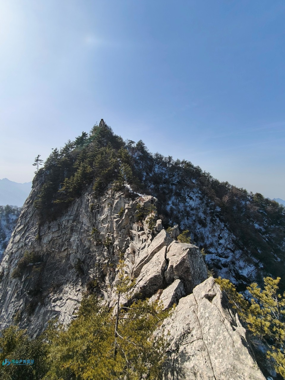 mmexport1739709319082