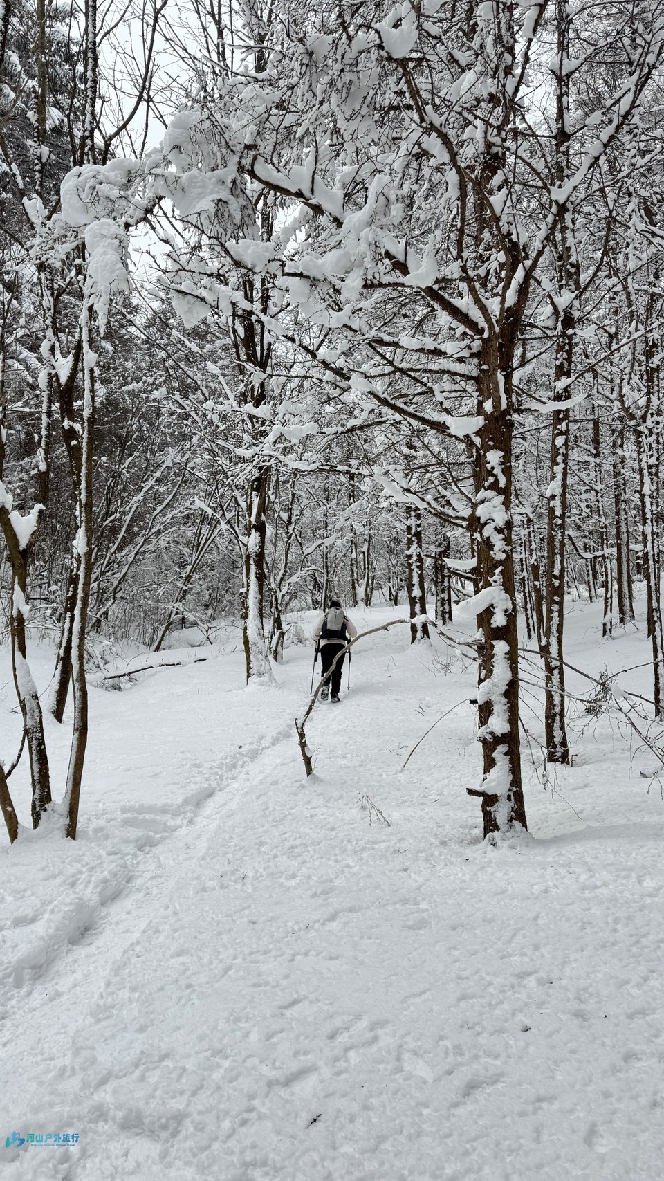 mmexport1741498632313