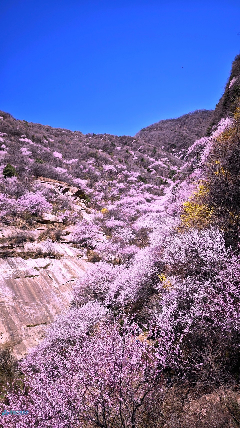 mmexport1741757101975