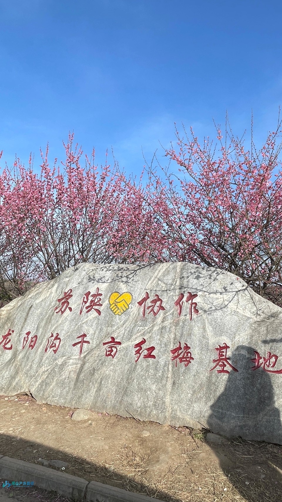 mmexport1742131118268