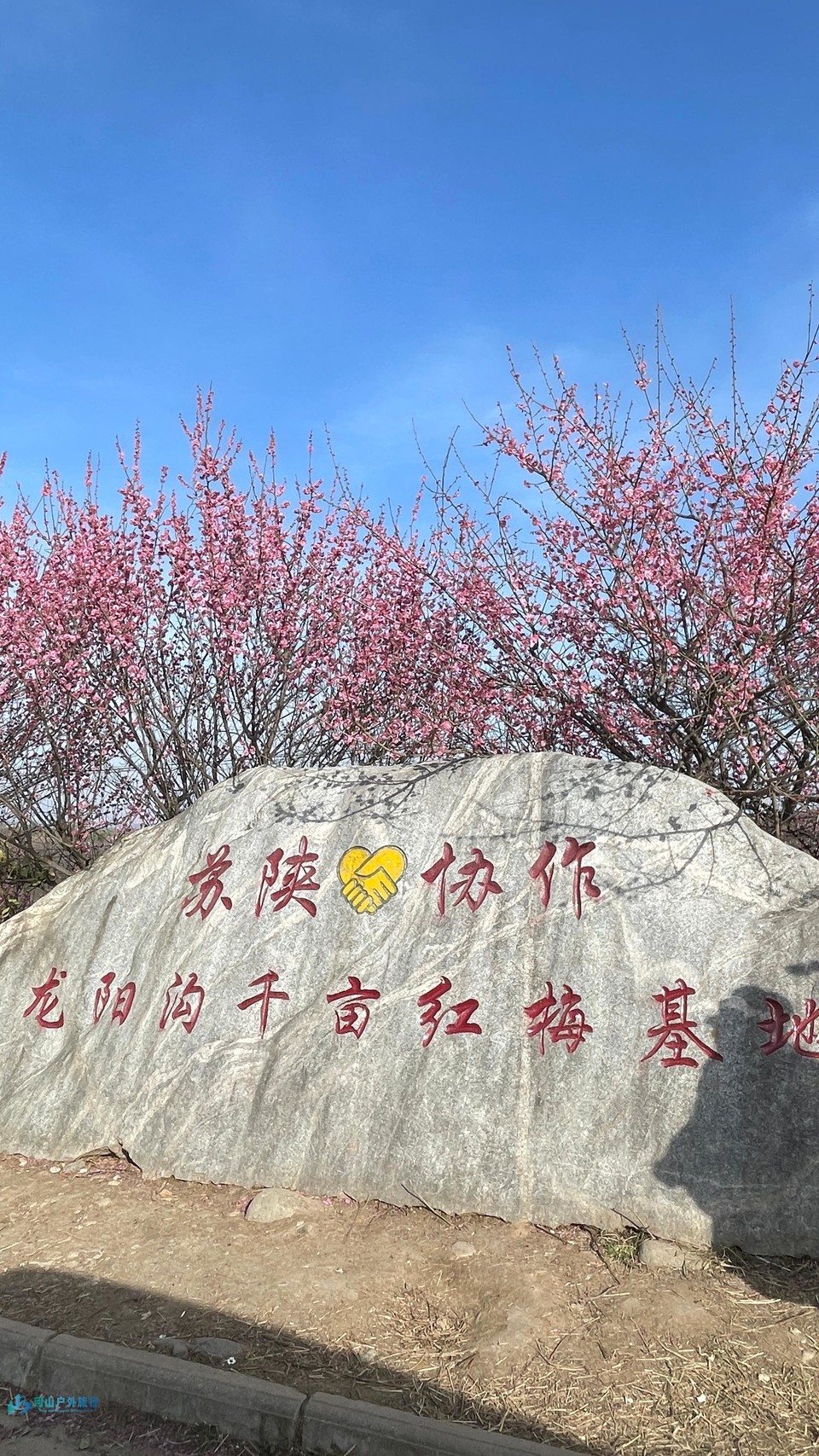 mmexport1742131159190