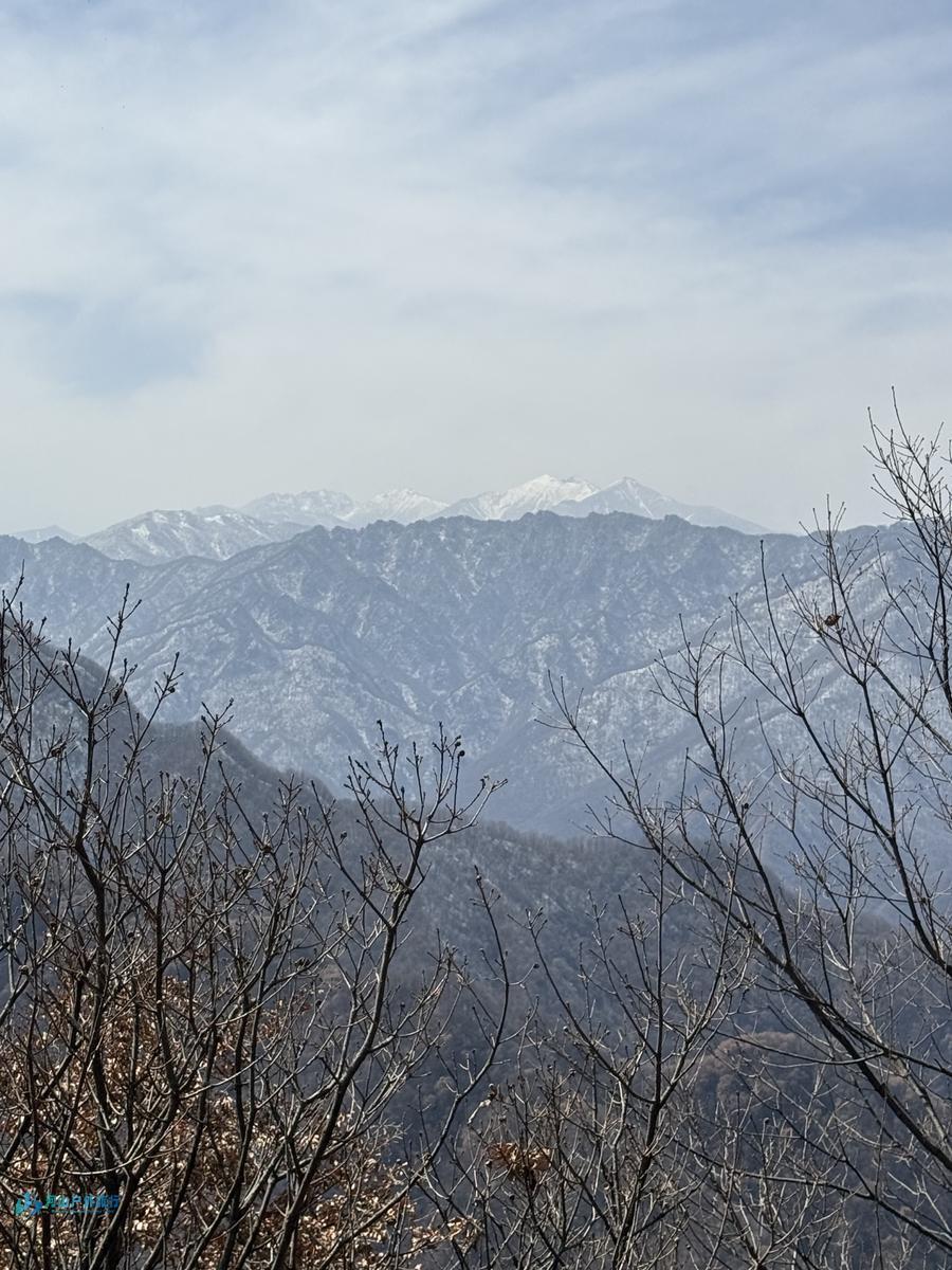 mmexport1742131172925