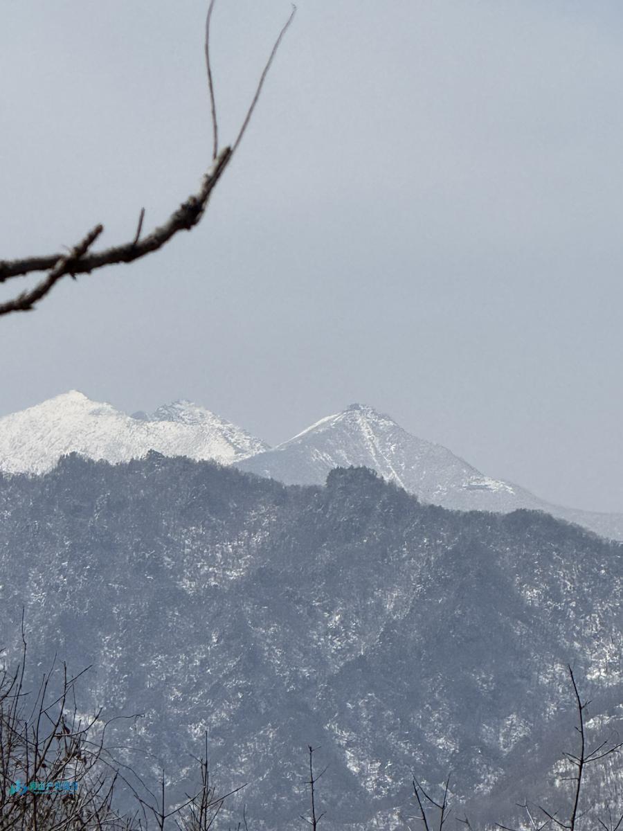 mmexport1742191944643