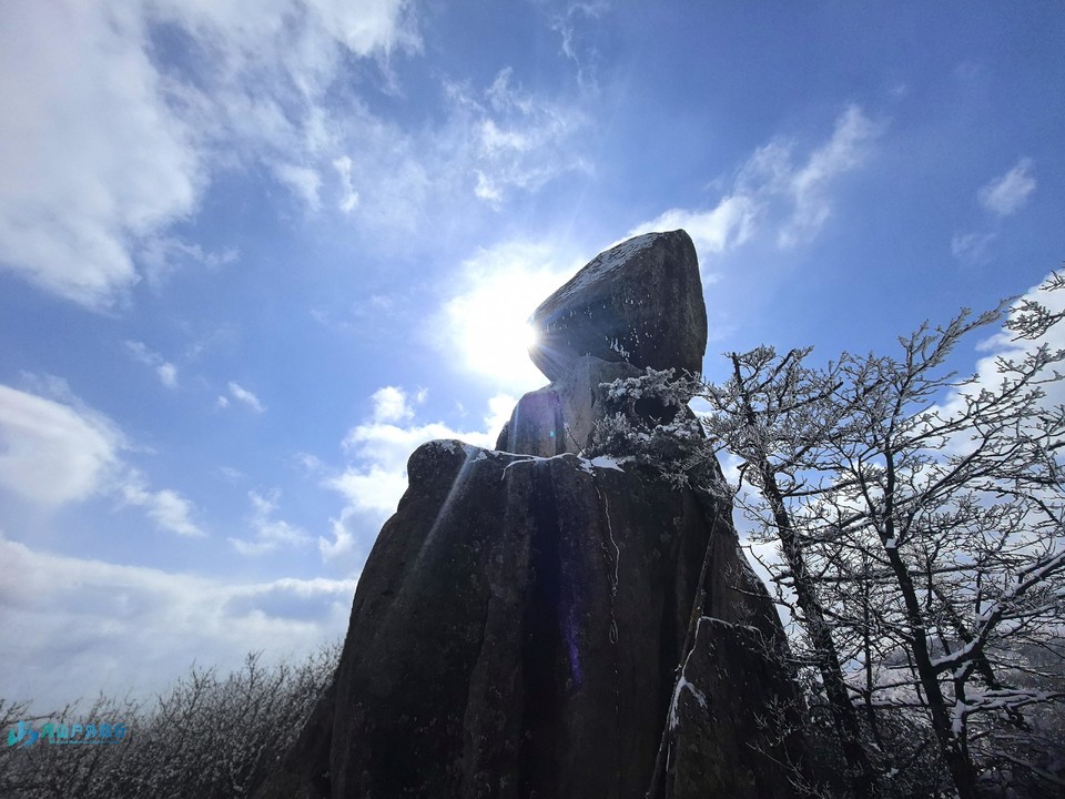 mmexport1742190269678