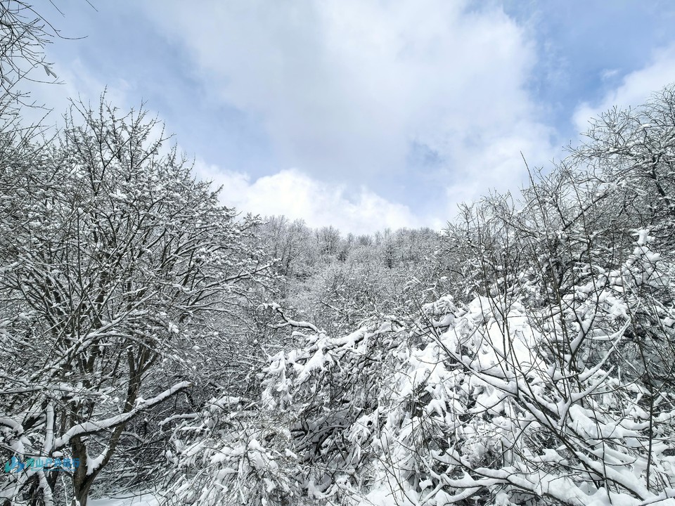 mmexport1742190343301