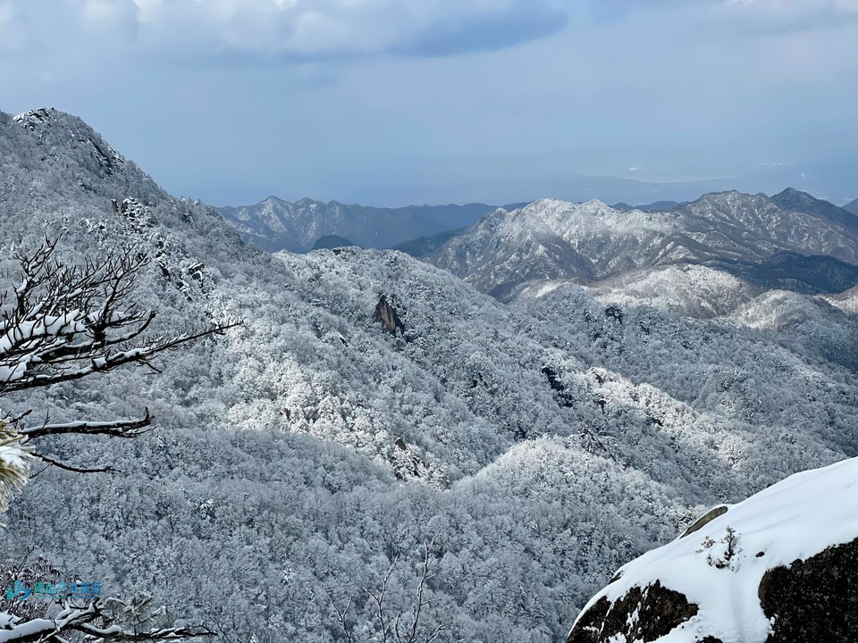 mmexport1742191127686