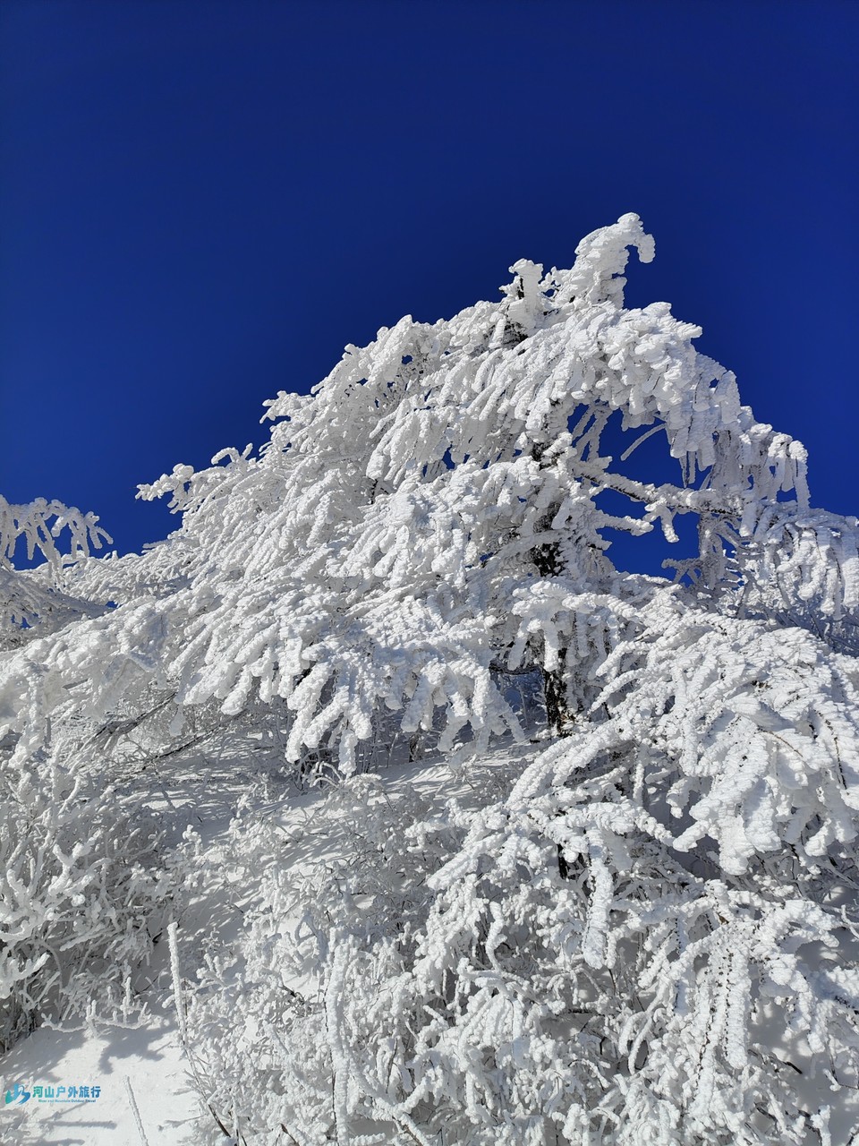 mmexport1742310560968