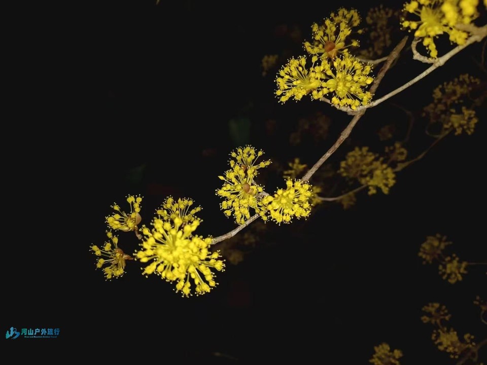 mmexport1742870462595