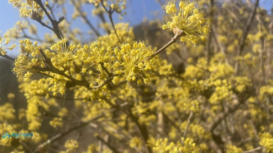 mmexport1742870474135