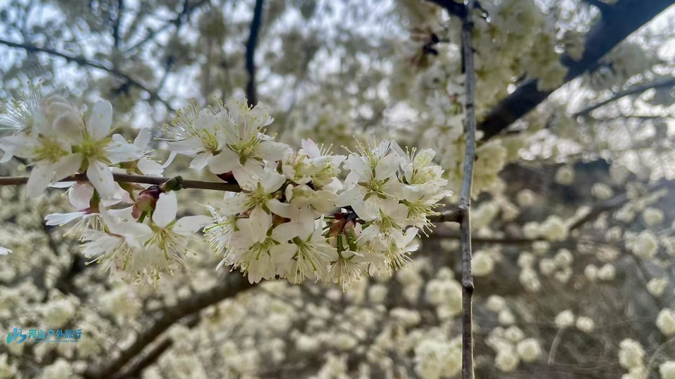 mmexport1742870479340