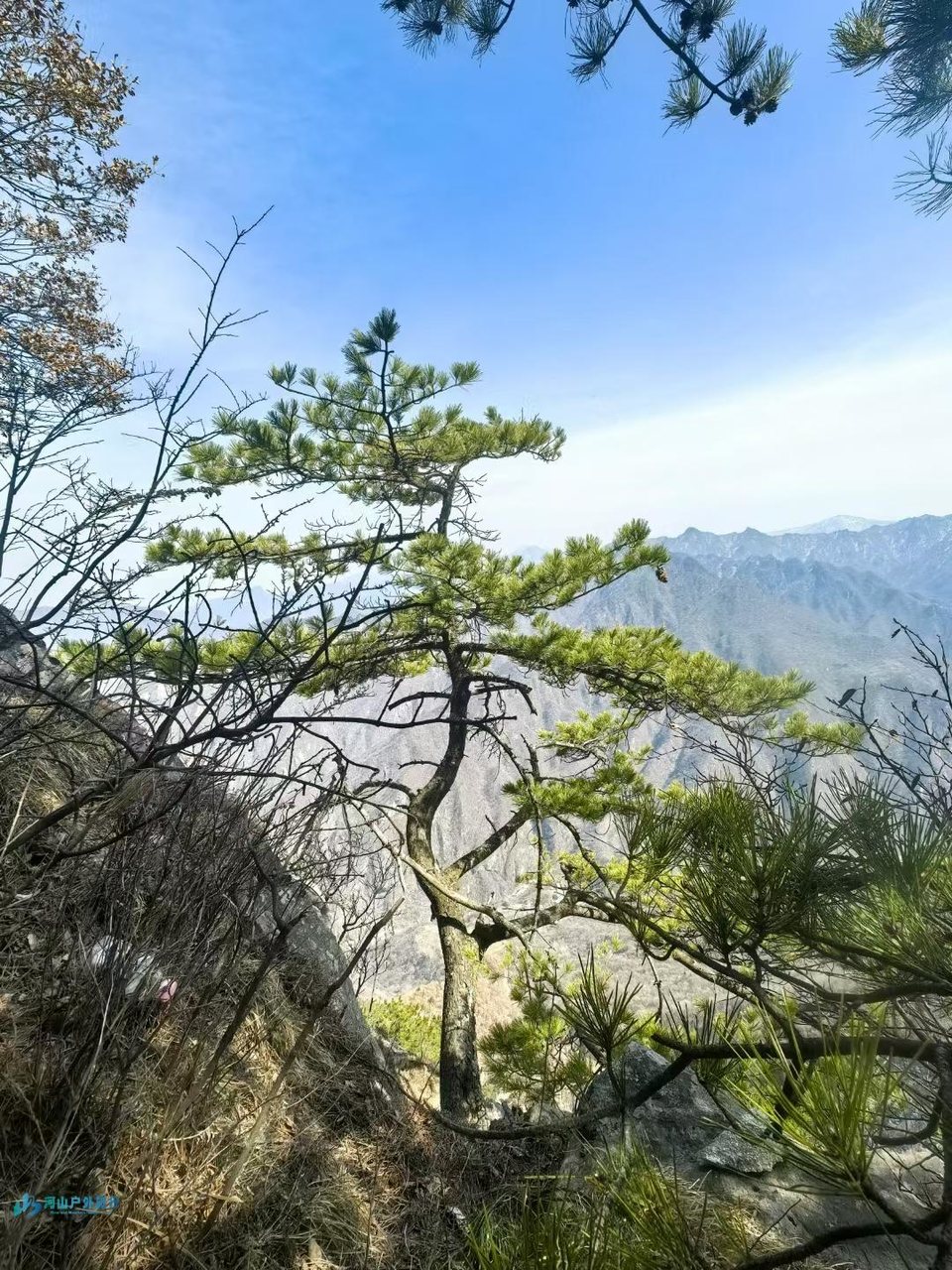 mmexport1742870850874