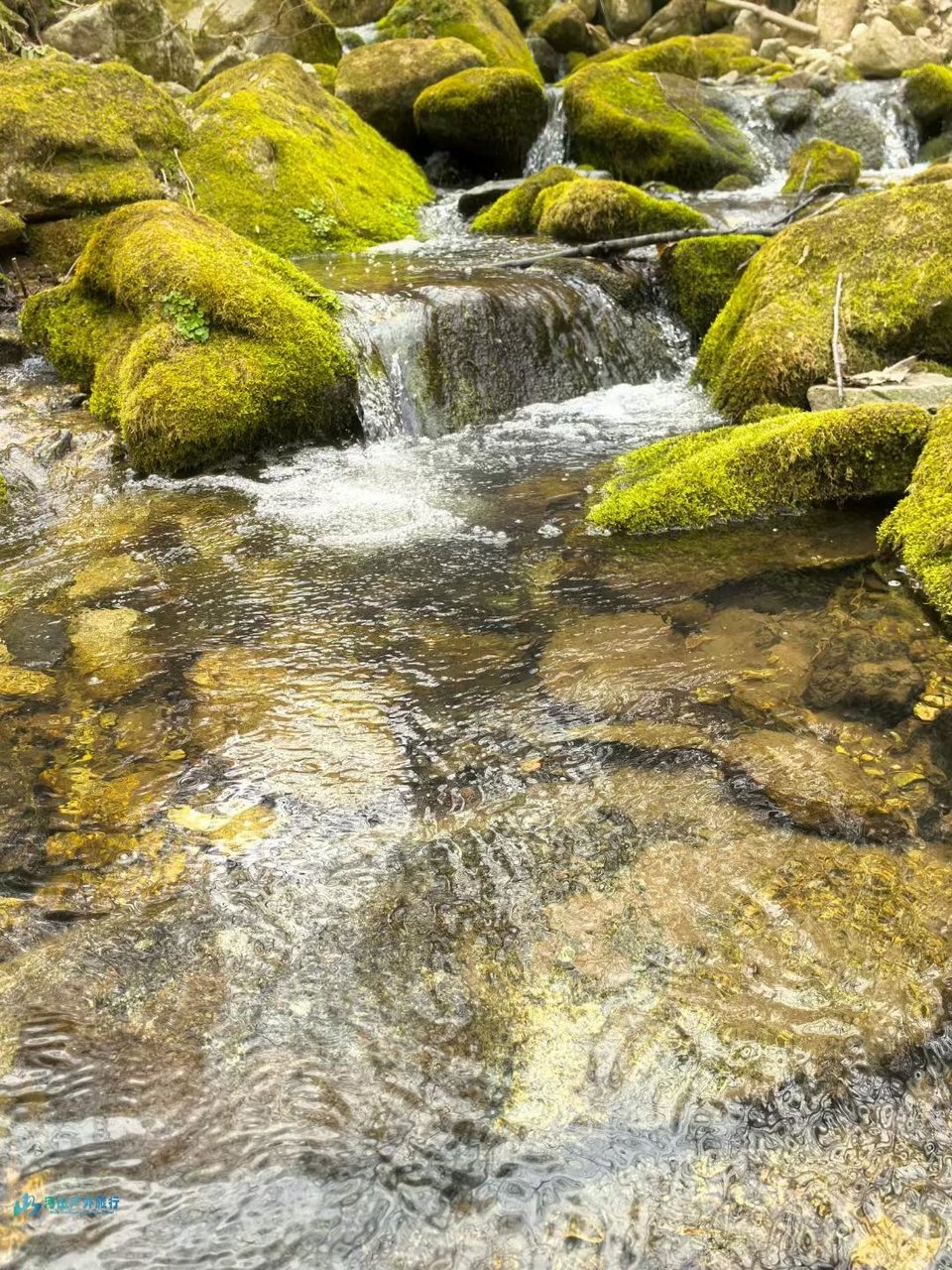 mmexport1742870859163