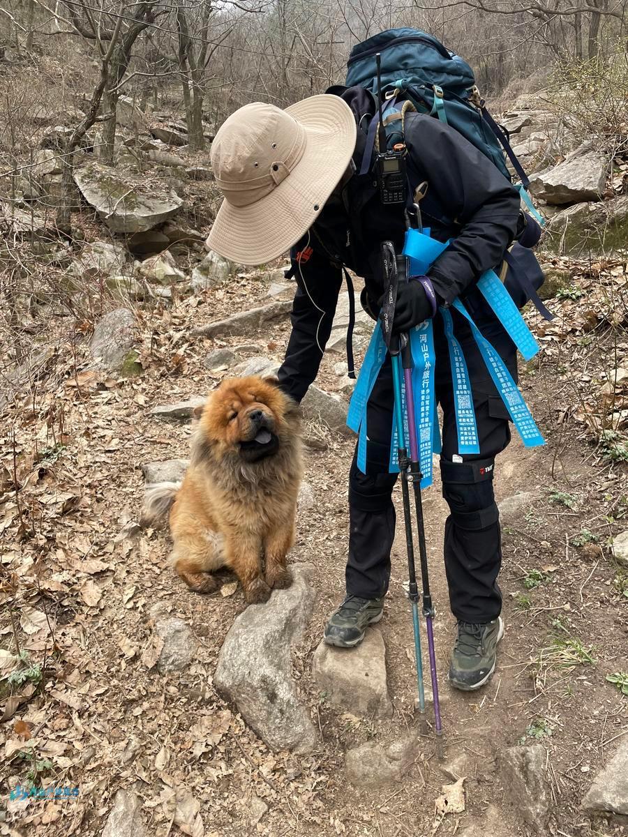 mmexport1743254817096