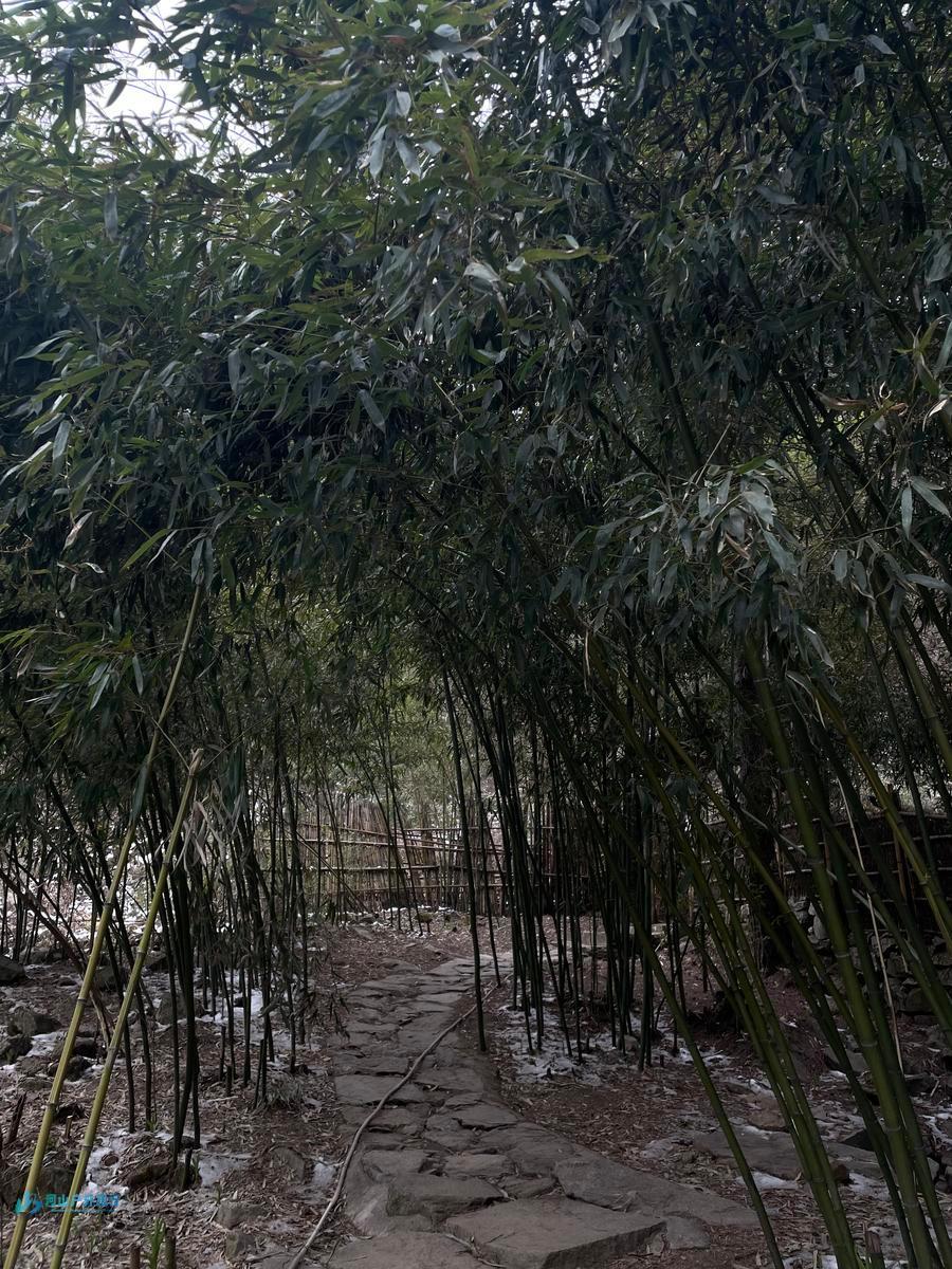 mmexport1743254864724