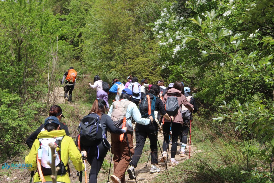 mmexport1745660145343