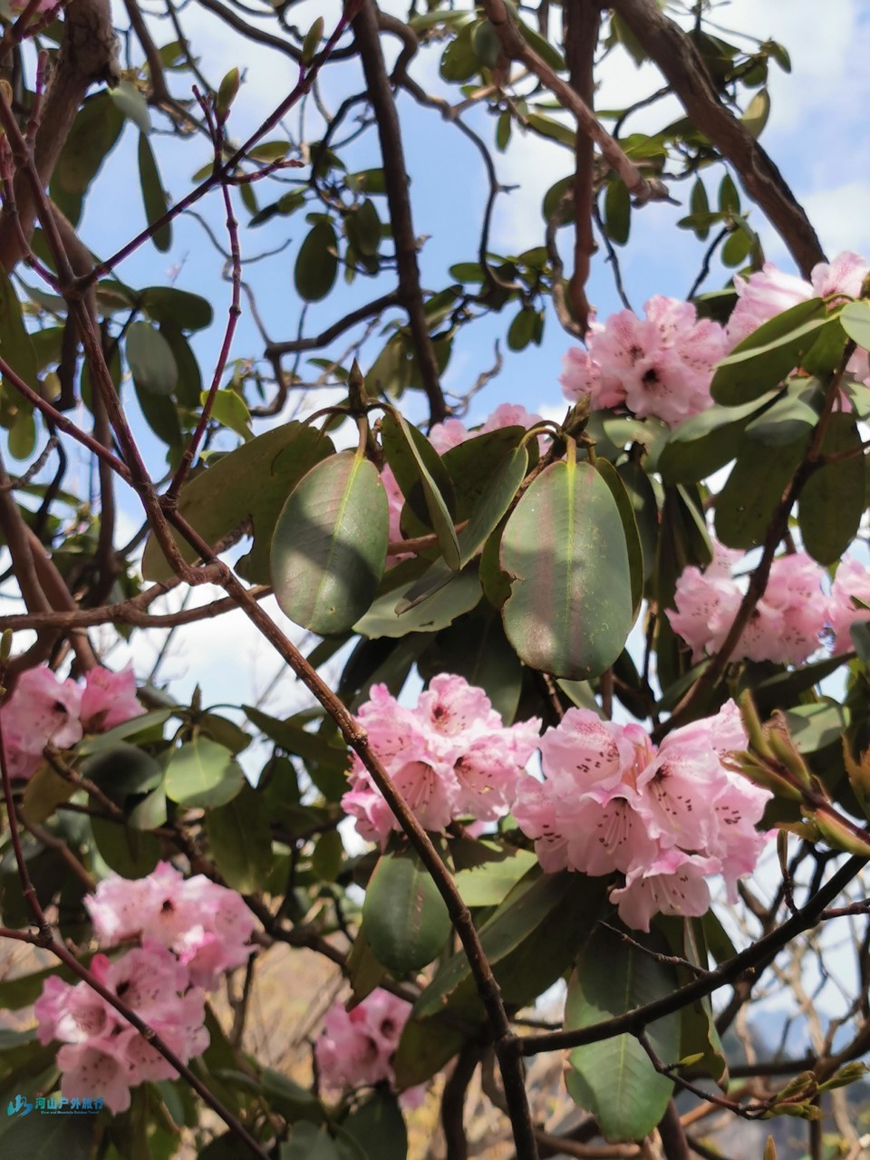 mmexport1746115003797