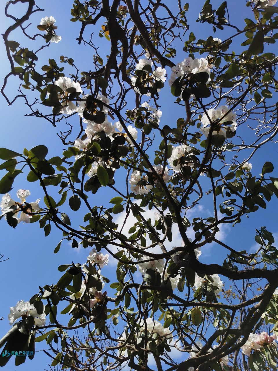 mmexport1746115036168