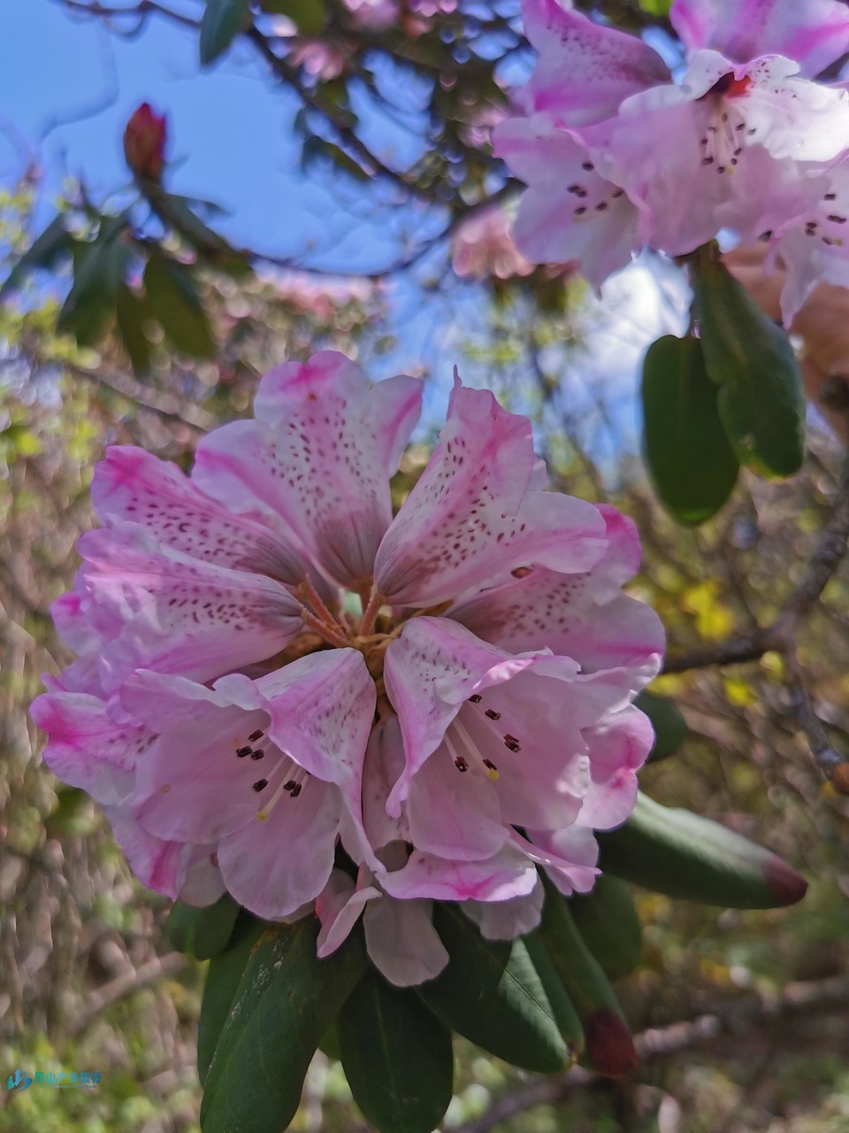 mmexport1746115060201