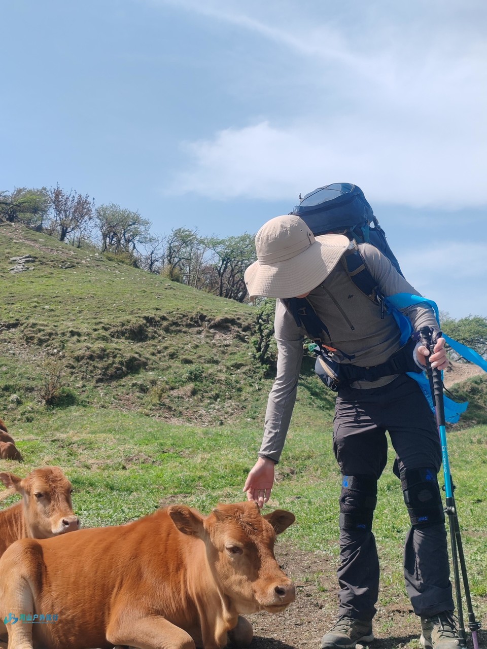 mmexport1746282108502