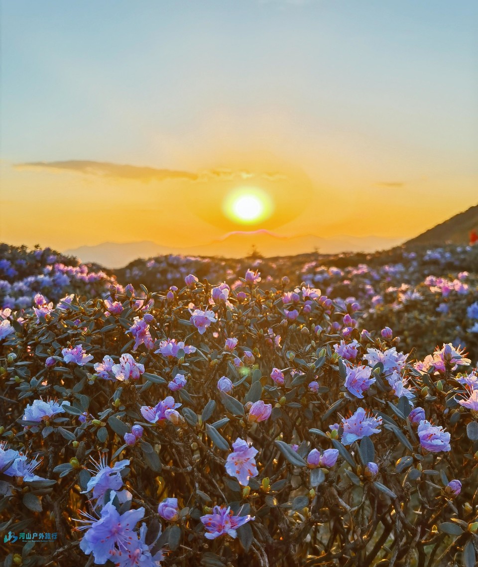 mmexport1746115103647