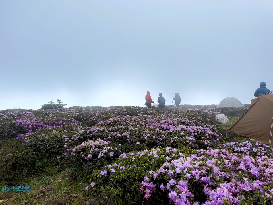 mmexport1746115141540