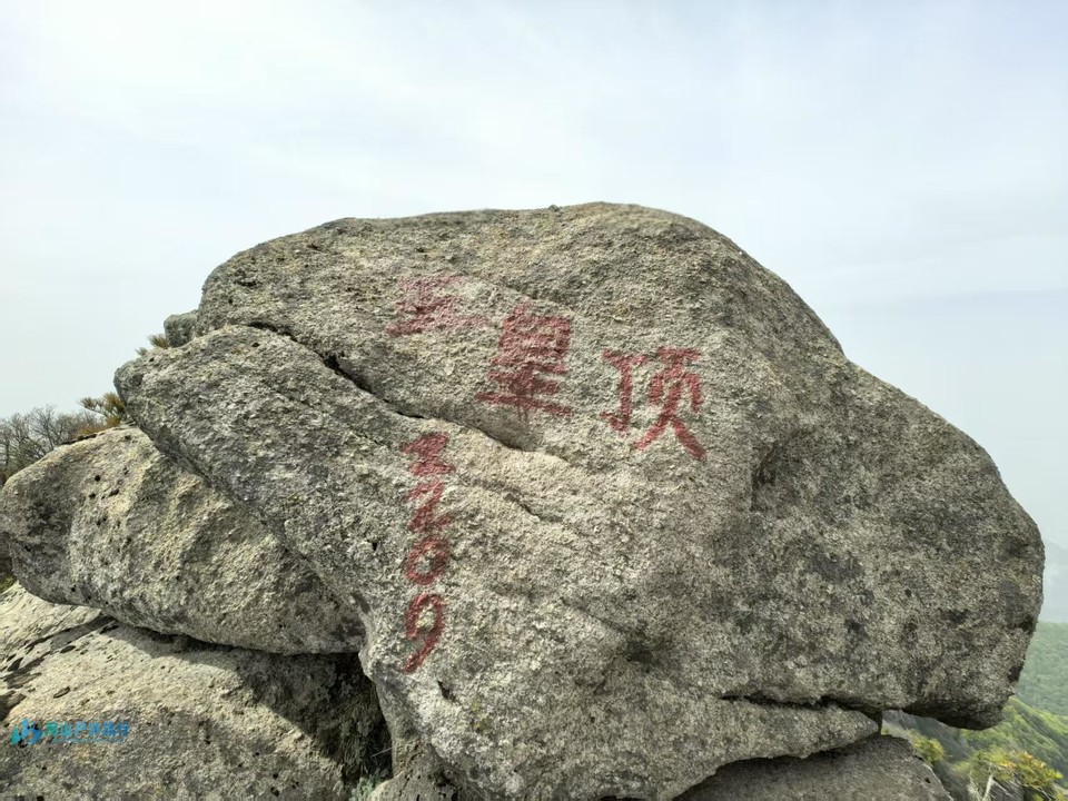 mmexport1746465121051