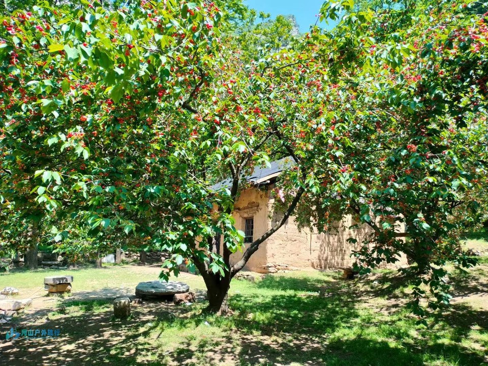 mmexport1747367191894