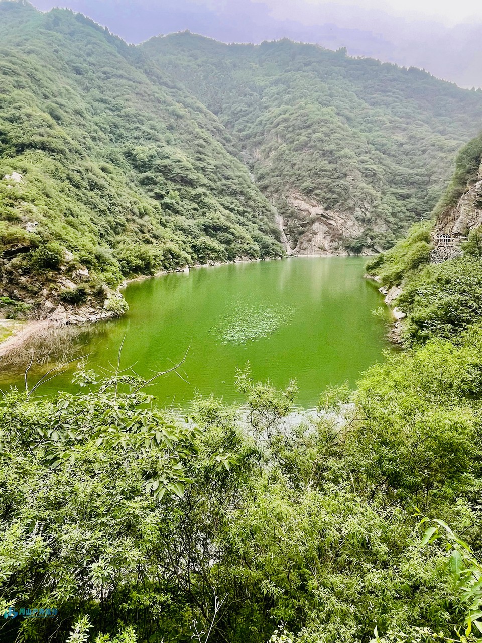 mmexport1747486248111