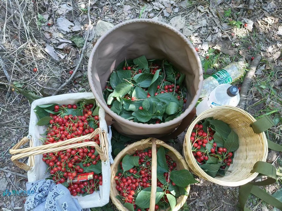 mmexport1748596016419