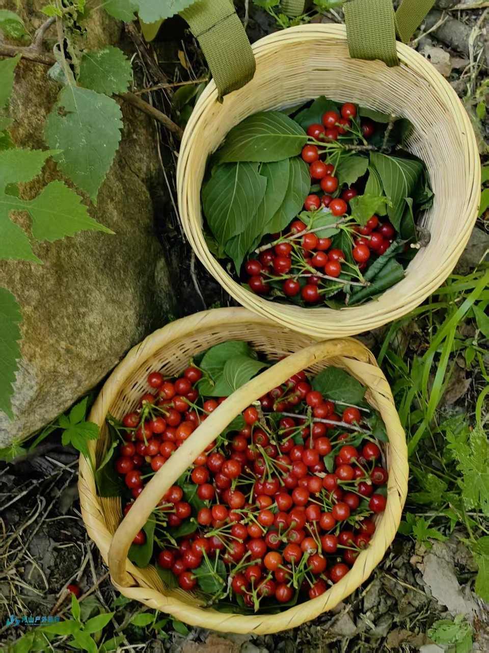 mmexport1748596148391