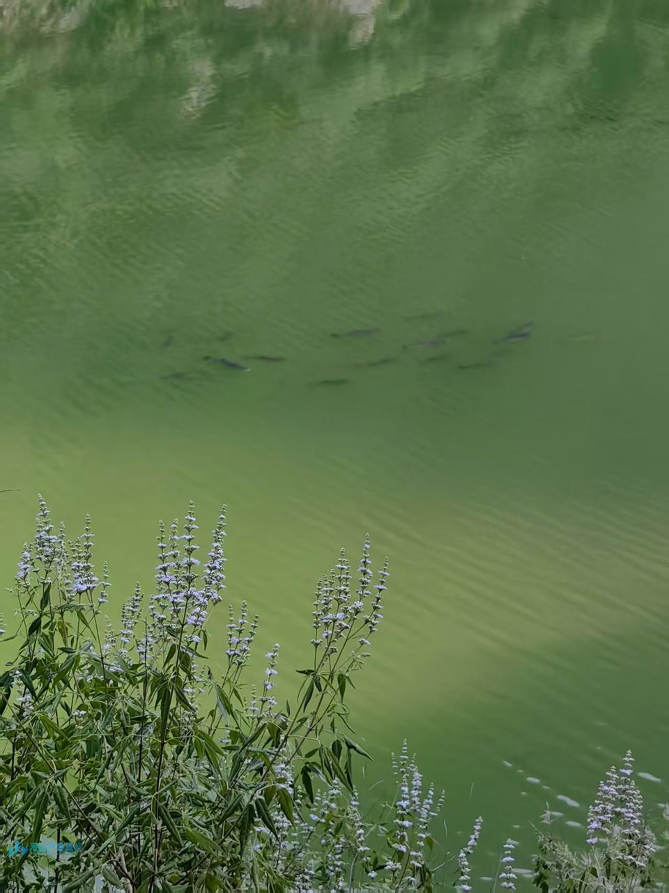 mmexport1748596172005