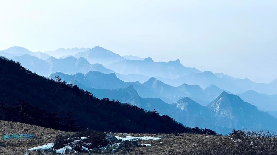 mmexport1736692424795