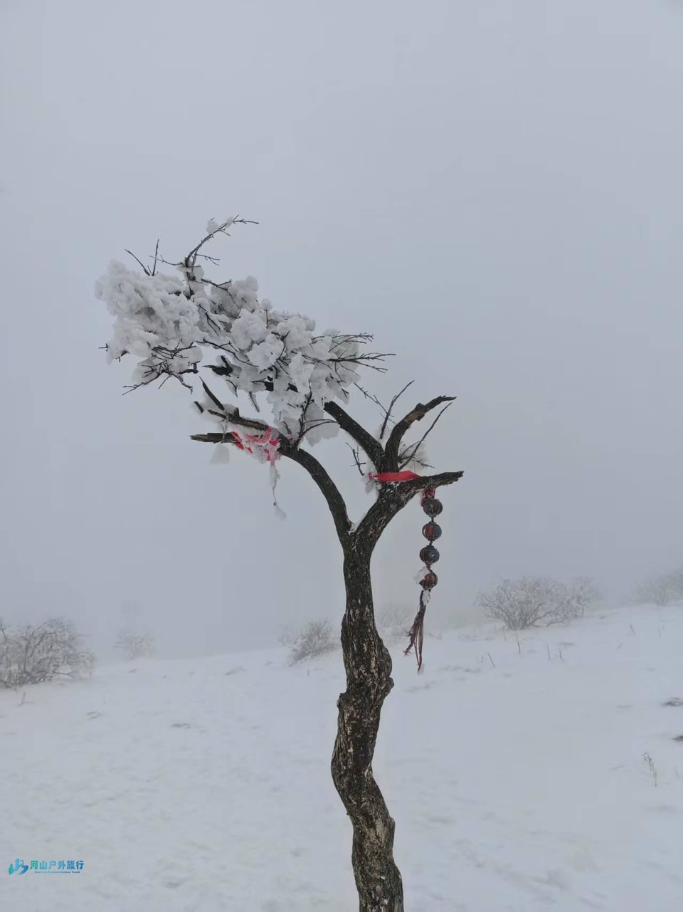 VPX4baS9beNIrrv75b0aZc8cXBVsLty3B0SpULuMu_hHHliZWv_CDofLapTZlgxA