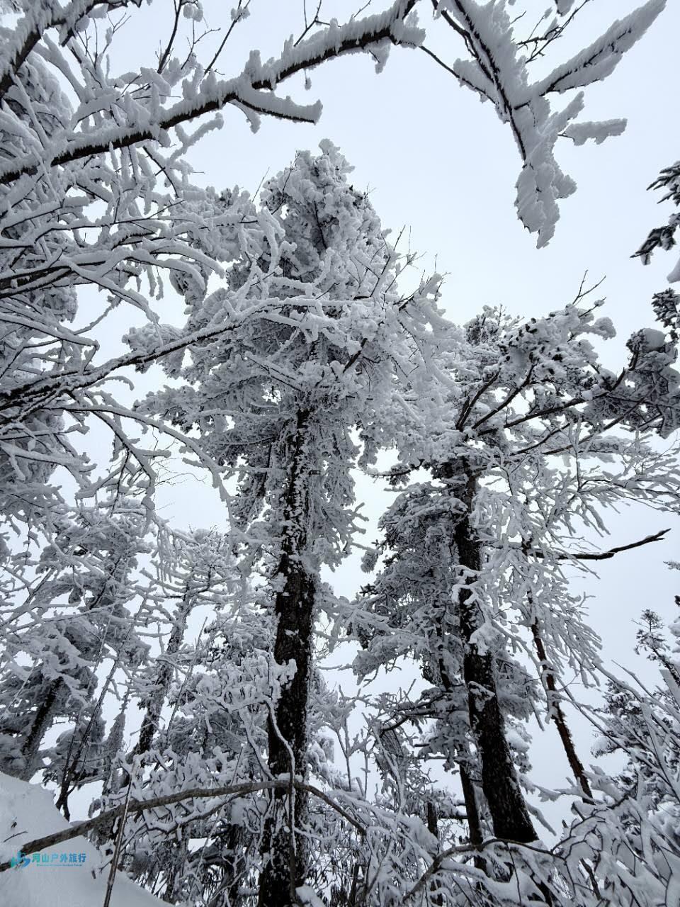 VPX4baS9beNIrrv75b0aZeJfryl0N3OaTaQXGD3jcrsbNwoB4nPPiShekaRi_ZtK