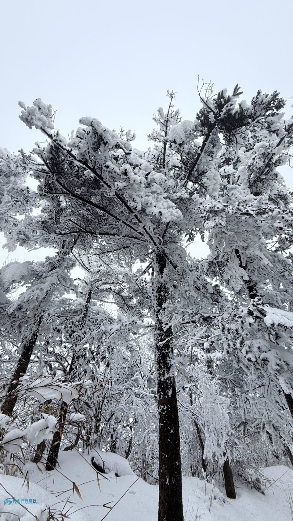 VPX4baS9beNIrrv75b0aZcqYk52NLKoZdMgEpCO4-vligiqKojam8nUpzQgY8Mcb