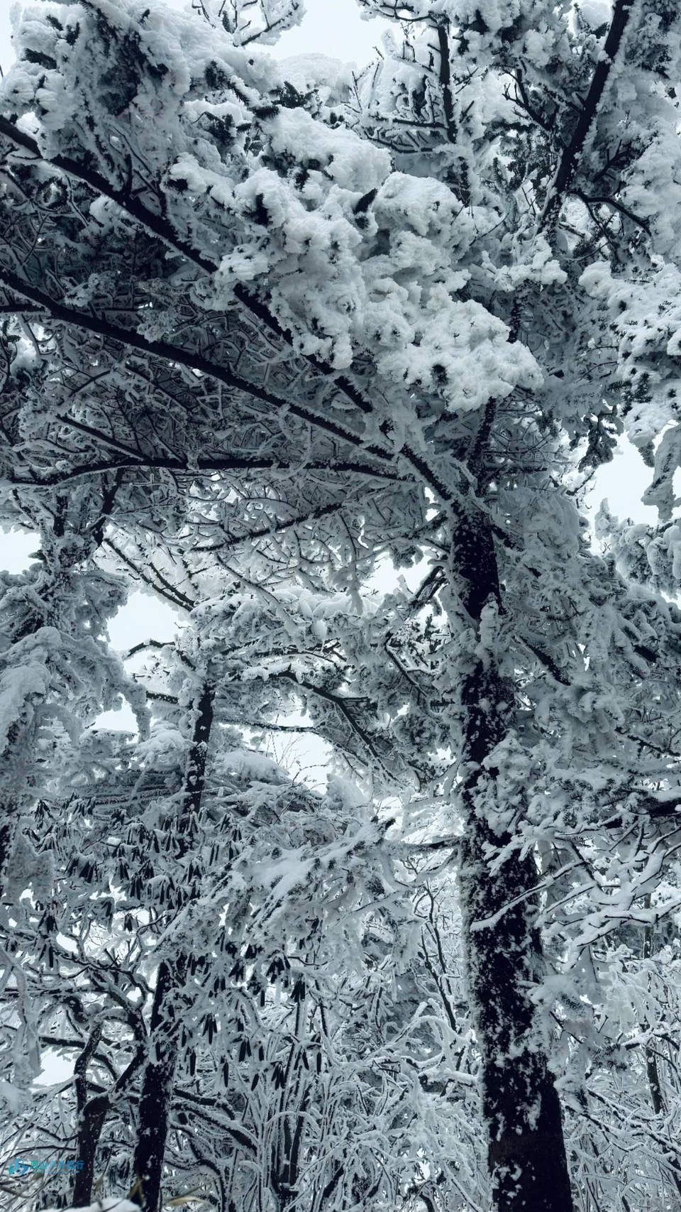 VPX4baS9beNIrrv75b0aZQ6yyKYrI5Rfk0uckPS_MA5z_IKzKpxTE06Ksk_f9COr