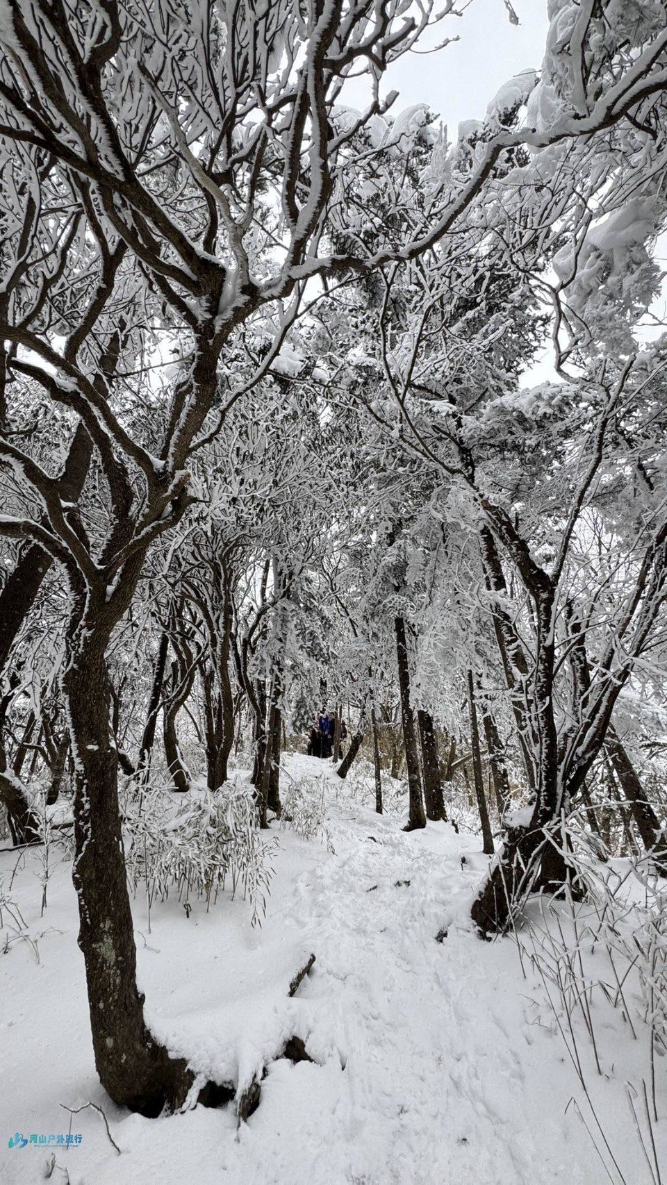 VPX4baS9beNIrrv75b0aZWb3mbf3_wnVN0M40mLFiZGuTK93F93iWJsKTlOR1GdL