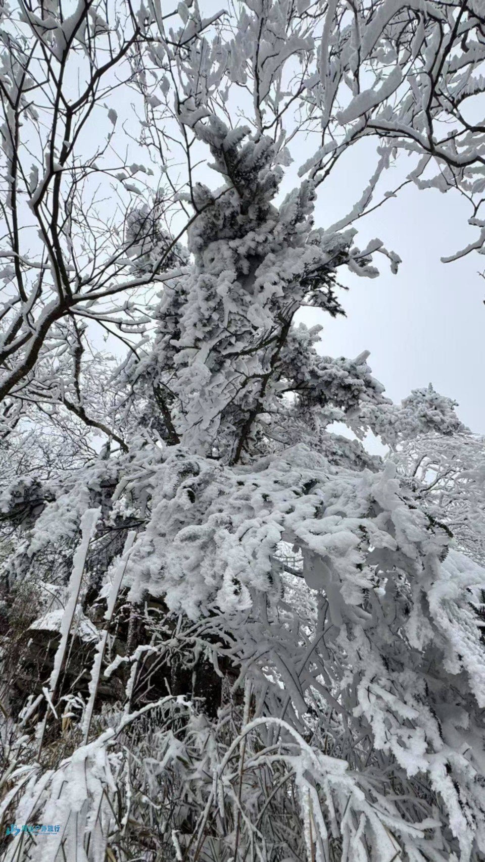 VPX4baS9beNIrrv75b0aZS_Ju7XUSLZvc9AsLSIf_2yqwKwHuaO0KEtyzKDadB5H