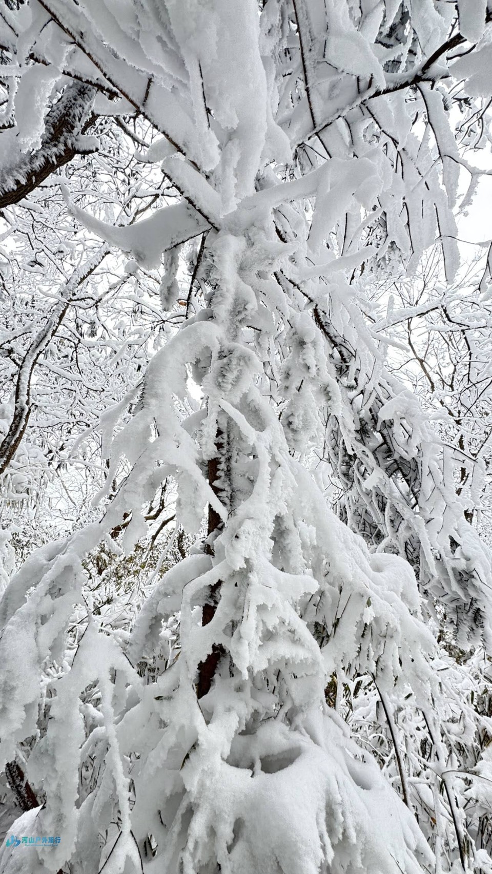 VPX4baS9beNIrrv75b0aZTdQgnj1RqBMWo2J80WOCrjjkfYq1PwMMd9wvAmS-5YM