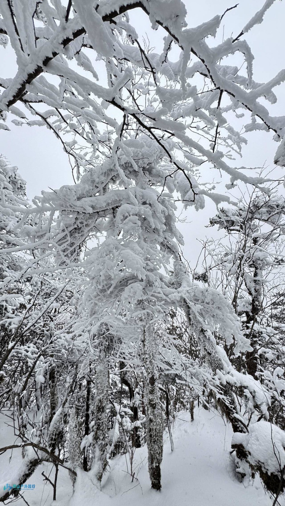 VPX4baS9beNIrrv75b0aZUPf5X_g-ZJNXsEftSkXgpUf96Rm53AdDzenMSMPnPGQ