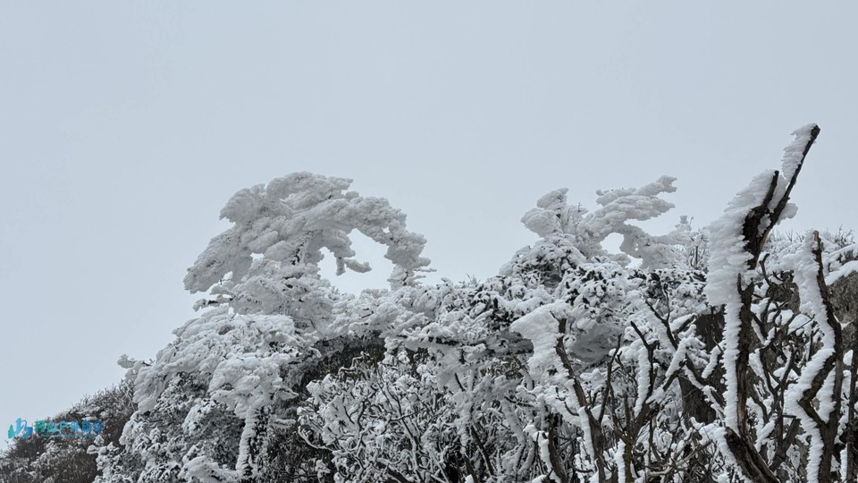 VPX4baS9beNIrrv75b0aZZOhopVeH9wZKaW93sZHyVcEd0pJMeKP0GFX_DdC7qI0