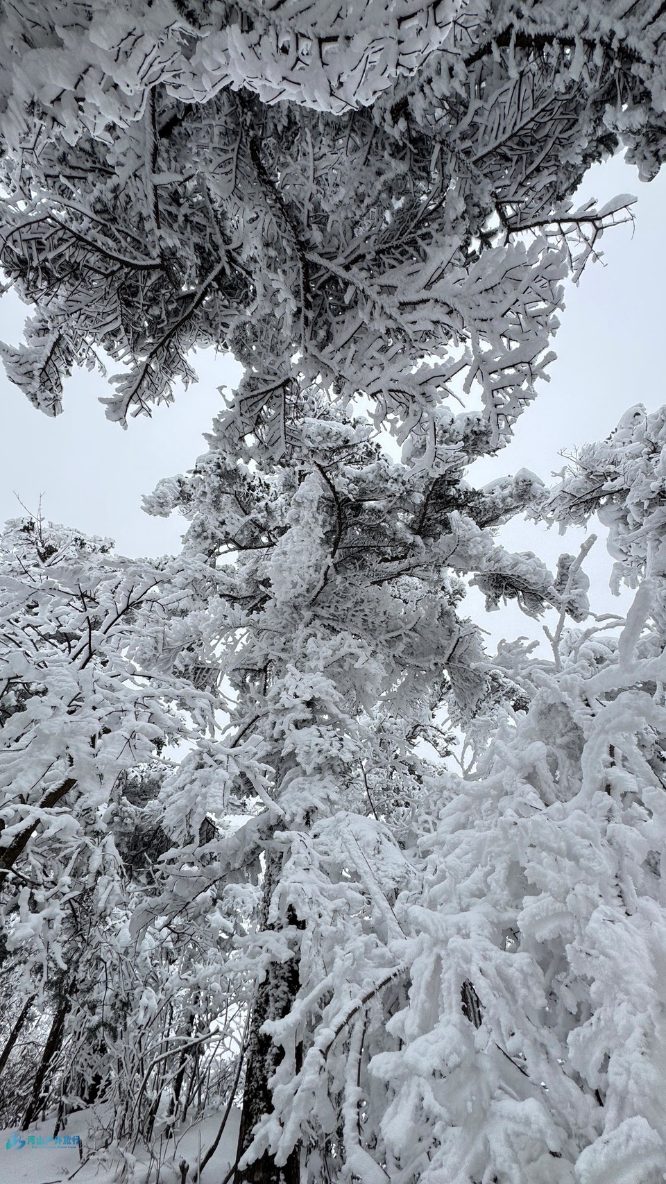 -v4MqRdx0KIFV3MINmYkQmGgthnQrtz7BGIjFHhkAf9EvFro9-eLqwvzdY9ZLE3U