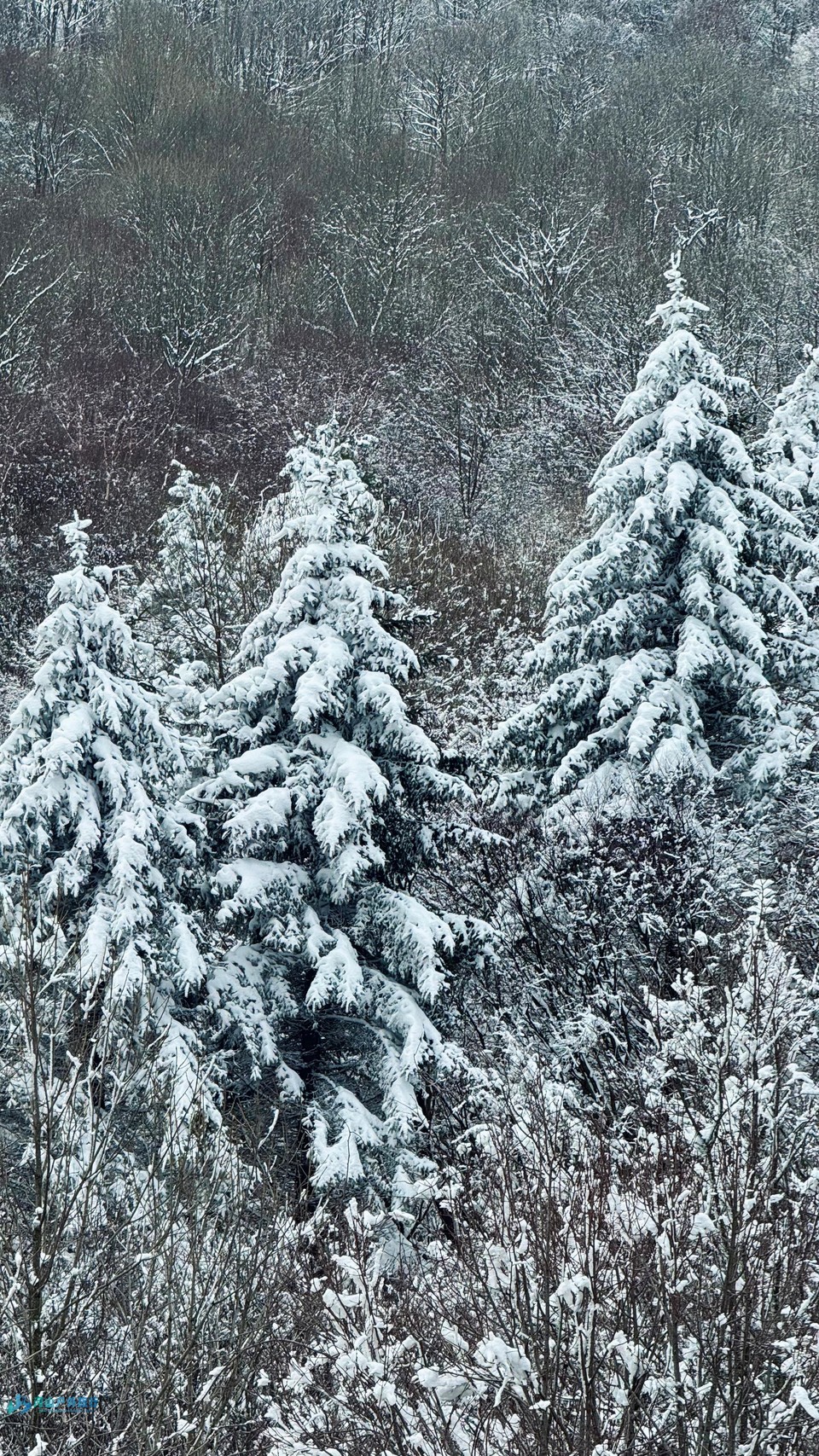 -v4MqRdx0KIFV3MINmYkQmFA3CAuYr7oy3F2rMn32zg4XYz3BisyrM10yK_6llac