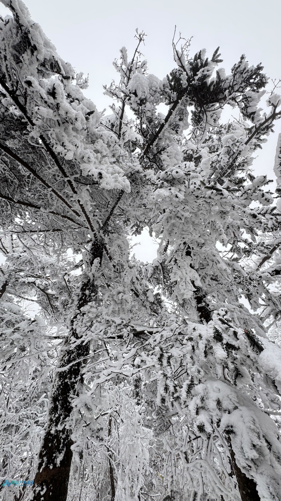 -v4MqRdx0KIFV3MINmYkQjVPXmC7nBjt7fYJ-vOr9WNyspJUXnq3SFsgnqbHT9R1