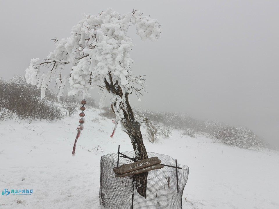 -v4MqRdx0KIFV3MINmYkQl4kbhKnFVI9hs6aVfJHZnidBnV6GmLImdrLvT3gCejP