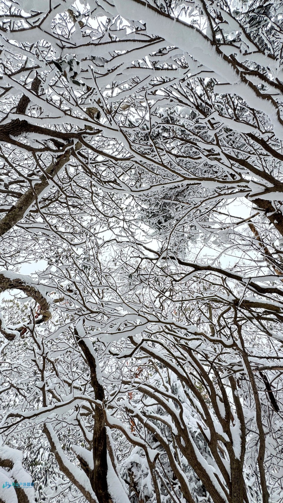 -v4MqRdx0KIFV3MINmYkQrEfYej36_EgkYYXu8m8n8TFOdhDdJVZAmHnvNrcVIHl