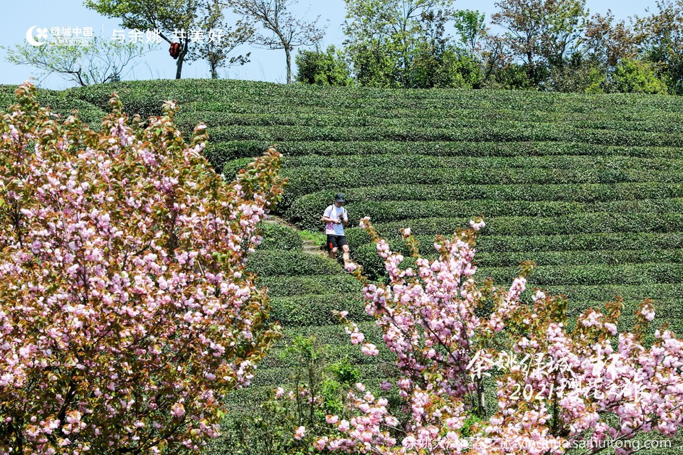 BH2A7210-opq125666024