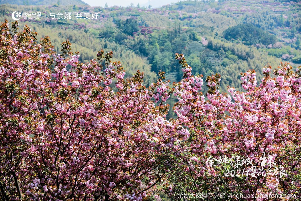 BH2A7228-opq125671007